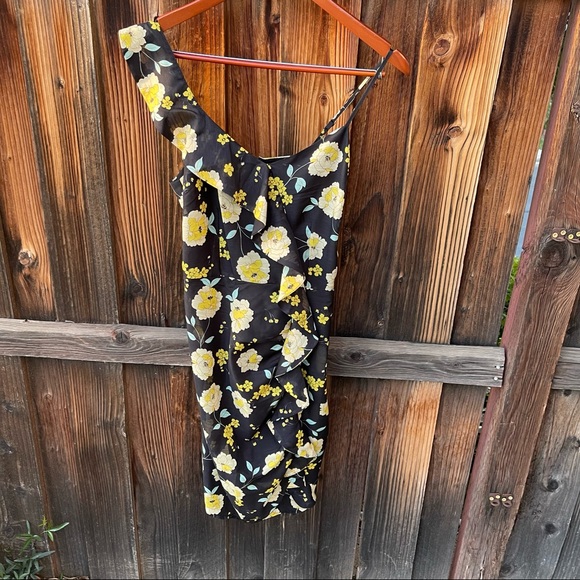 Cupcakes and Cashmere  Size 4 Ariadne Slub Chiffon Asymmetric Dress with Ruffle - Picture 3 of 9